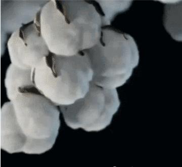 内衣裤处瘙痒小妙招,无痕裤内裆