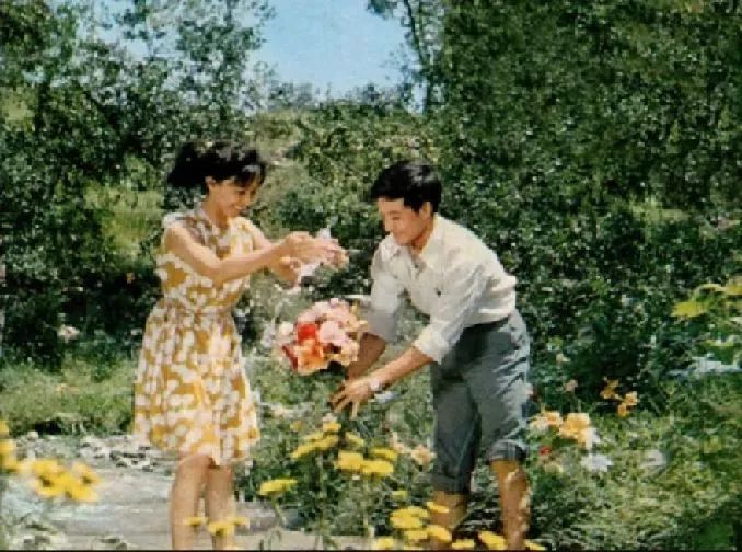 上海国际电影节汇集众多影展精粹,上海国际电影节首次推出露天展映