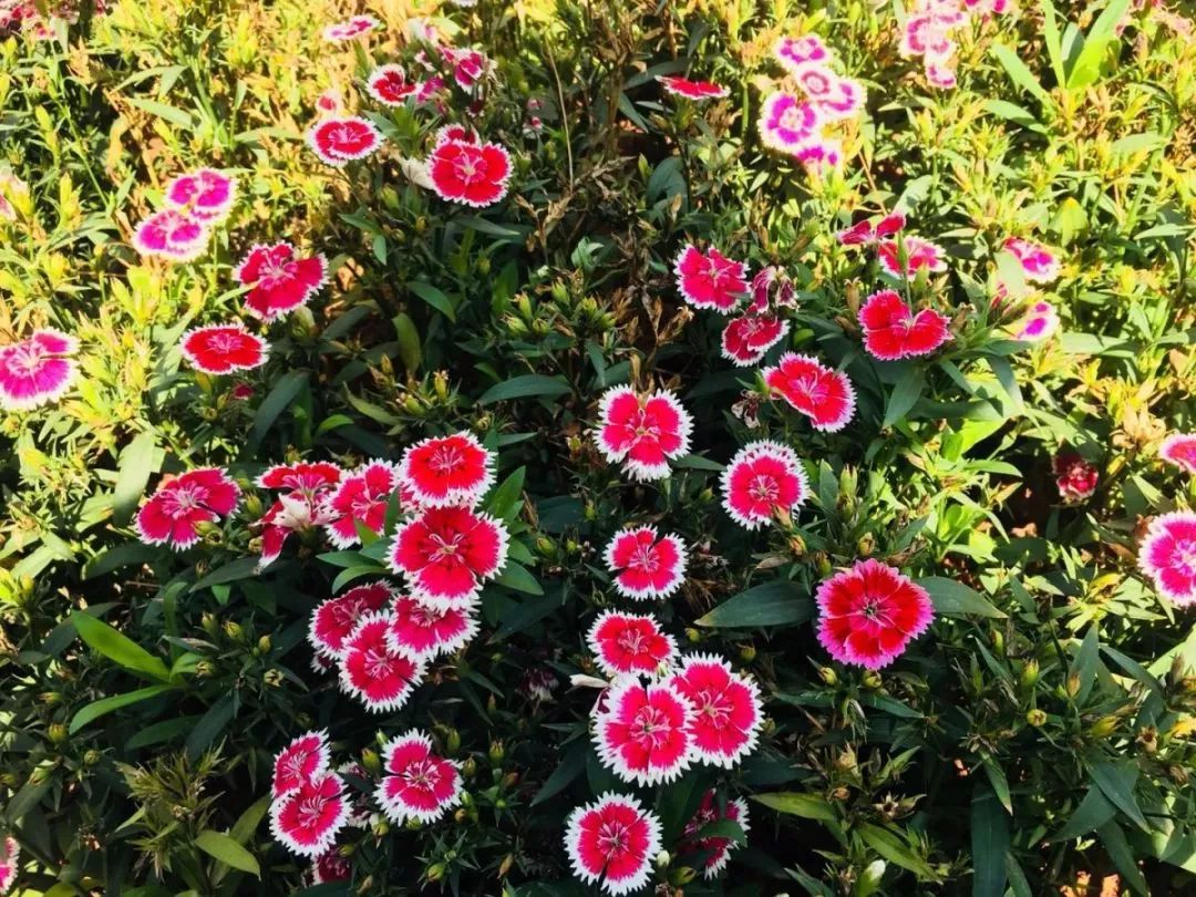 鍐涜繍鏉戣繍鍔ㄥ憳浣忓,鍖椾含鍐涜繍鏉戣繍鍔ㄥ憳鍏瘬