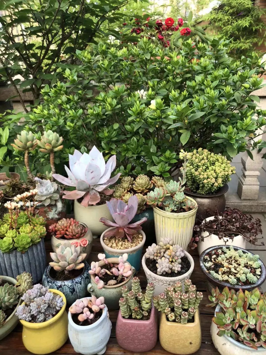 打造美好幸福的家,打造一片天地