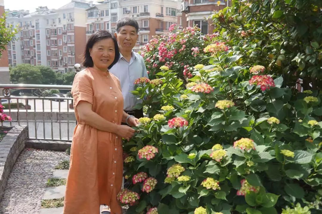 打造美好幸福的家,打造一片天地