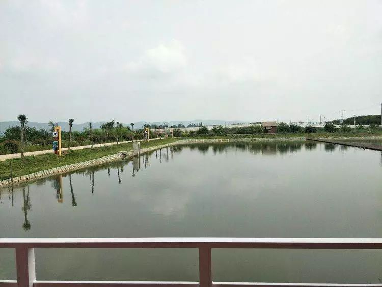 滁州大动作规划,滁州下周有什么发展