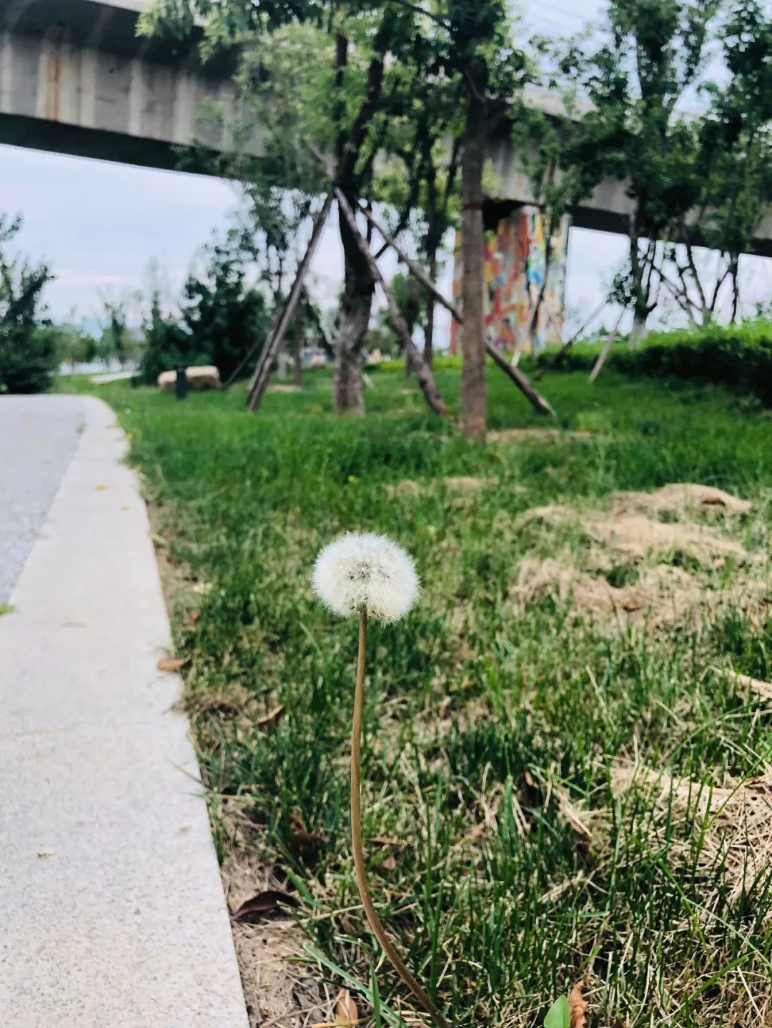 瑗垮畨鍛ㄨ竟娌欐哗,瑗垮畨鍖楅儕娌欐哗