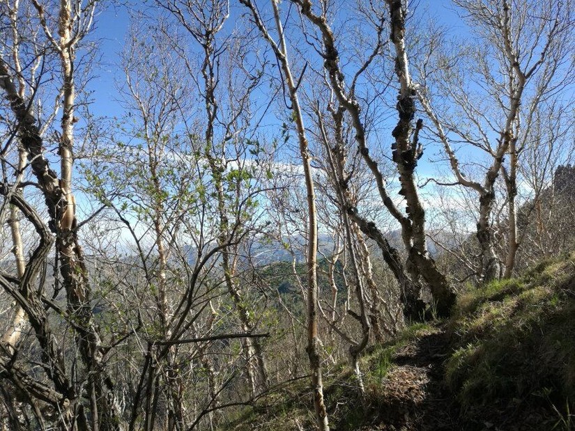 蔚县茶山风景图片大全,蔚县茶山村风景