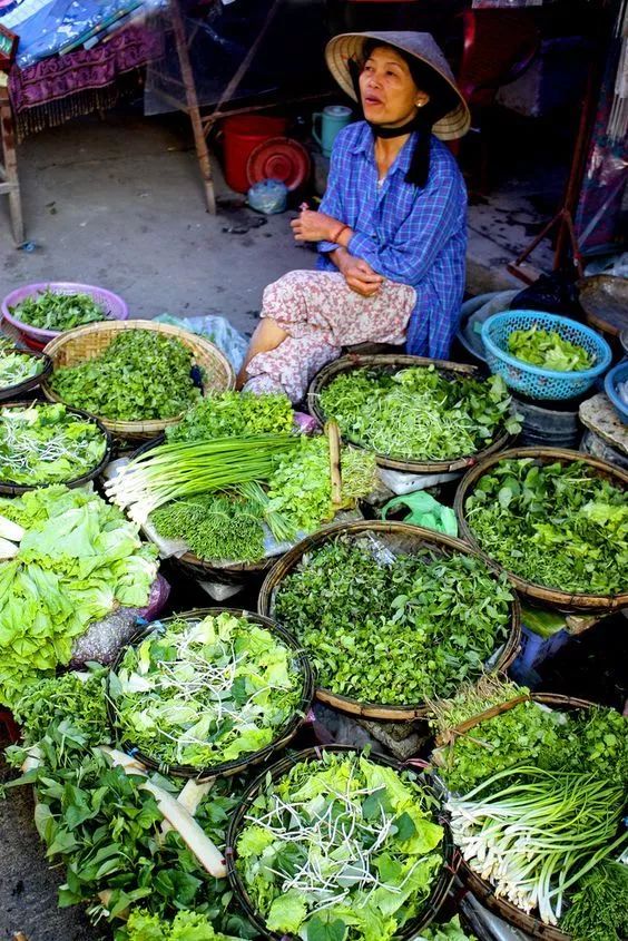 越南32怪,越南36怪