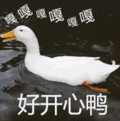 一到夏天就只剩半条命,一到夏天又把命交给了空调