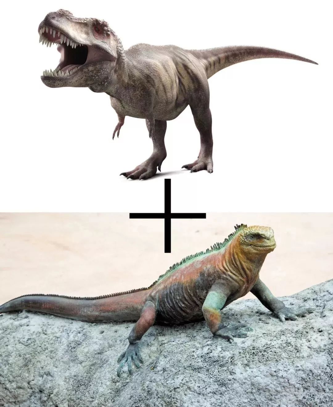 哥斯拉越来越强了,现实中哥斯拉真能统治地球吗