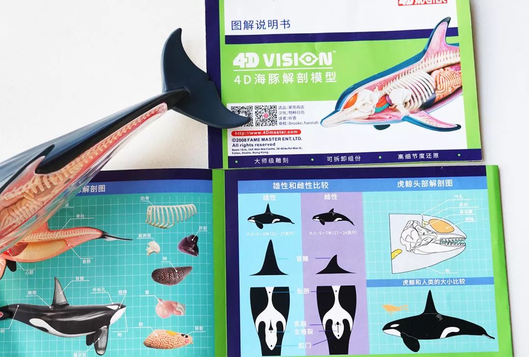 我就不信，只有我一个人想试试人体解剖丨好物推荐