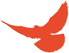 她们行在“和”之路上……