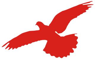 八一慰问消防战士,八一建军节致敬最可爱的人