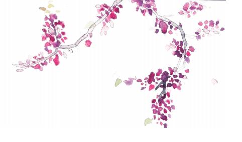 2019清华新雅书院录取标准,清华新雅书院怎么分班的