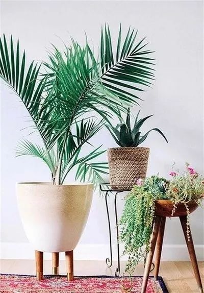 保护肝脏你需要知道这些知识点,怎样在日常生活中保护肝脏健康