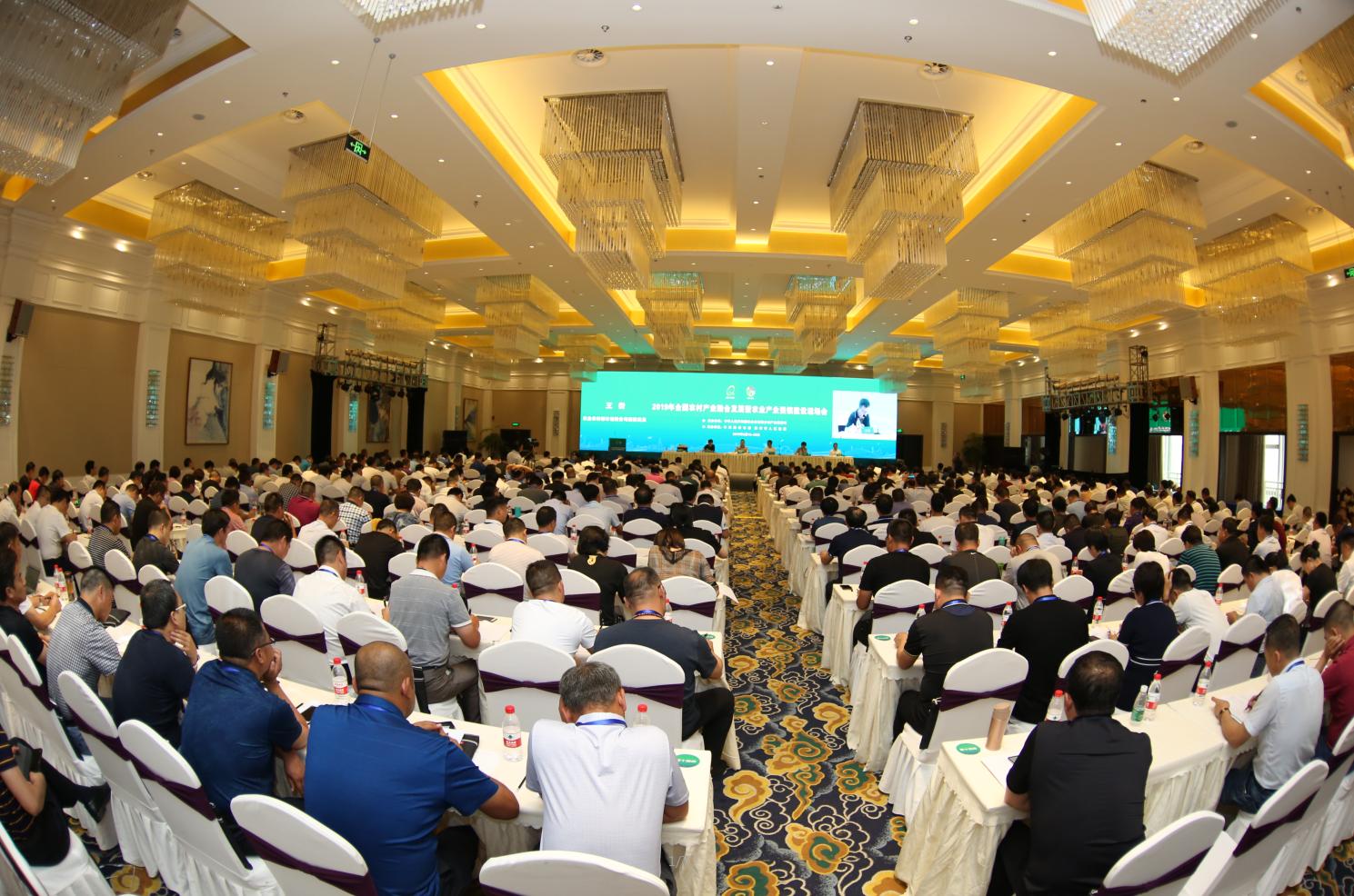 彭州探索活动,彭州发展报道