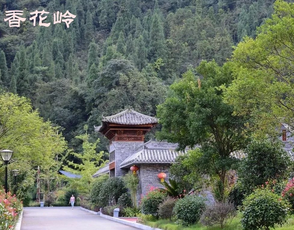 长阳是一个山清水秀的好地方,长阳很美的城