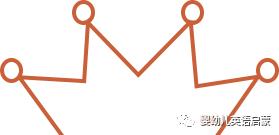 其他培训班上从未见过的高端英语内容，短短一个月我竟然可以和孩子说这么多