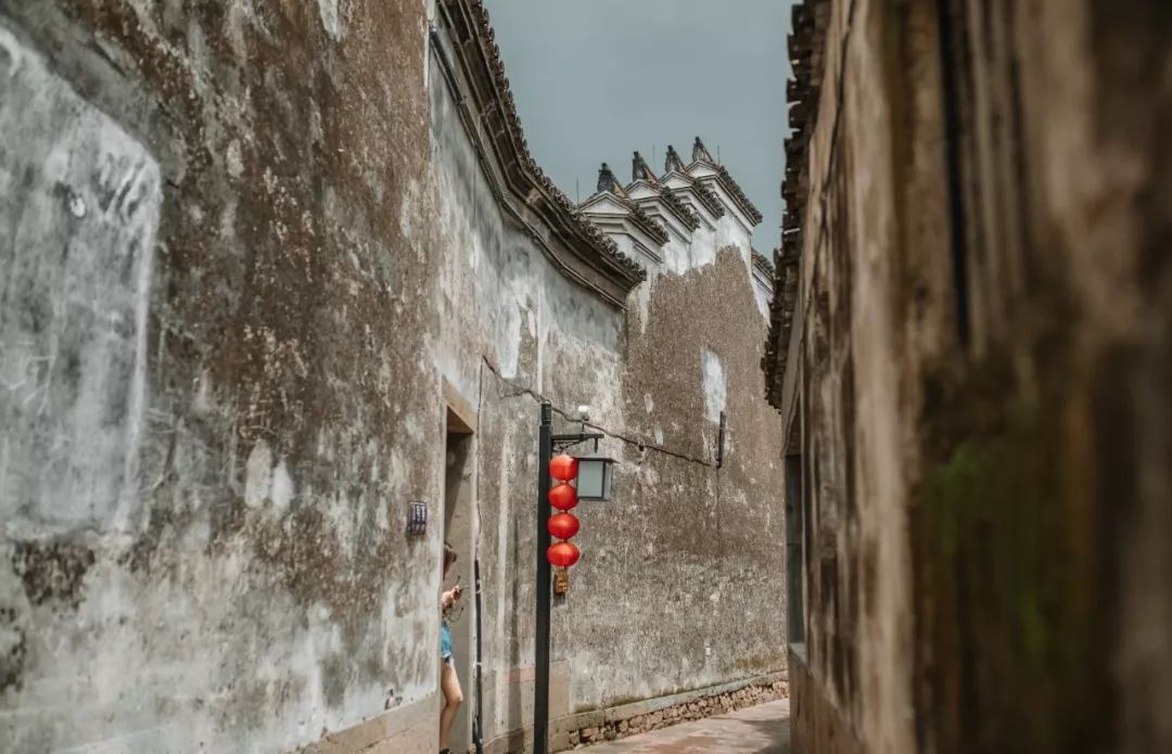 这座跟着周杰伦空降热搜的杨梅味小城，休渔期也能让你吃得满嘴鲜