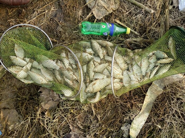 野钓装备饵料,野钓装备有哪些