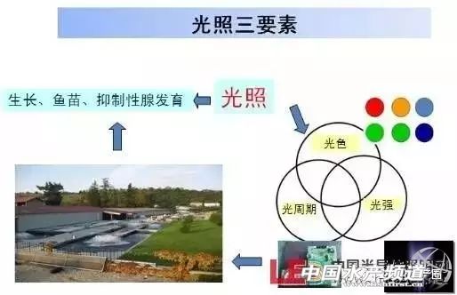 人工智能LED灯,led半导体光源优点