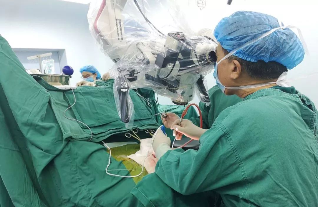 鍏虫敞鍋ュ悍鍏虫敞鍎跨鐧棲,鍏虫敞鐧棲涓庣埍鍚岃