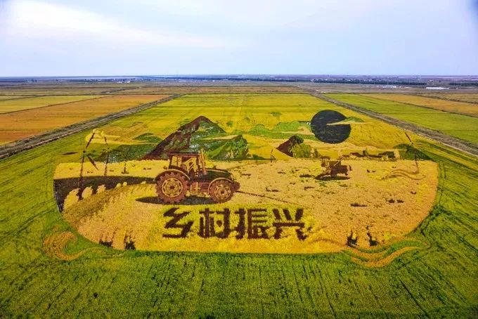 10月29号机票天津飞哪里便宜,天津出发十一月的特价机票
