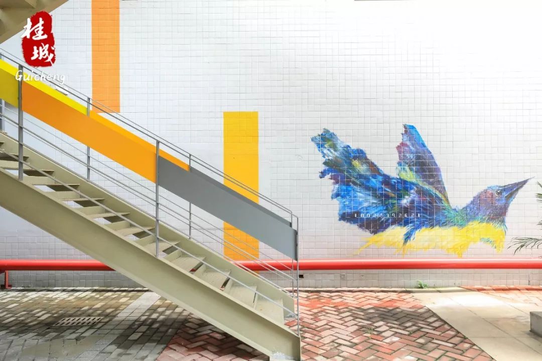 夏至到来大明湖荷花,夏至来了荷花又开放啦