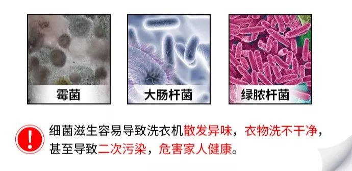 洗衣机污垢和霉菌,洗衣机加水有厕所味儿
