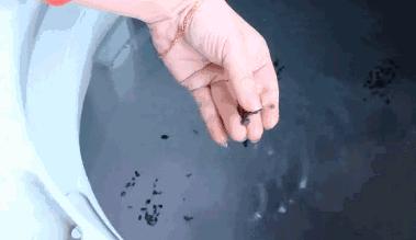 洗衣机里加上它陈年污垢全出来了,洗衣机污垢和霉菌危害