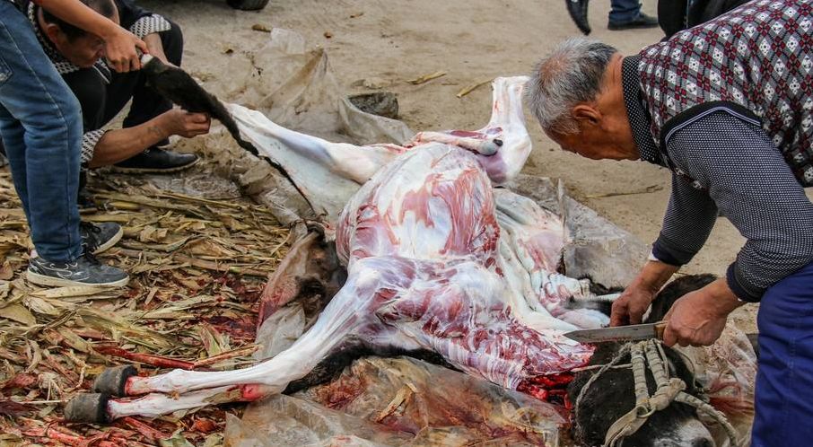 丁可中文歌词,丁可英文咋说