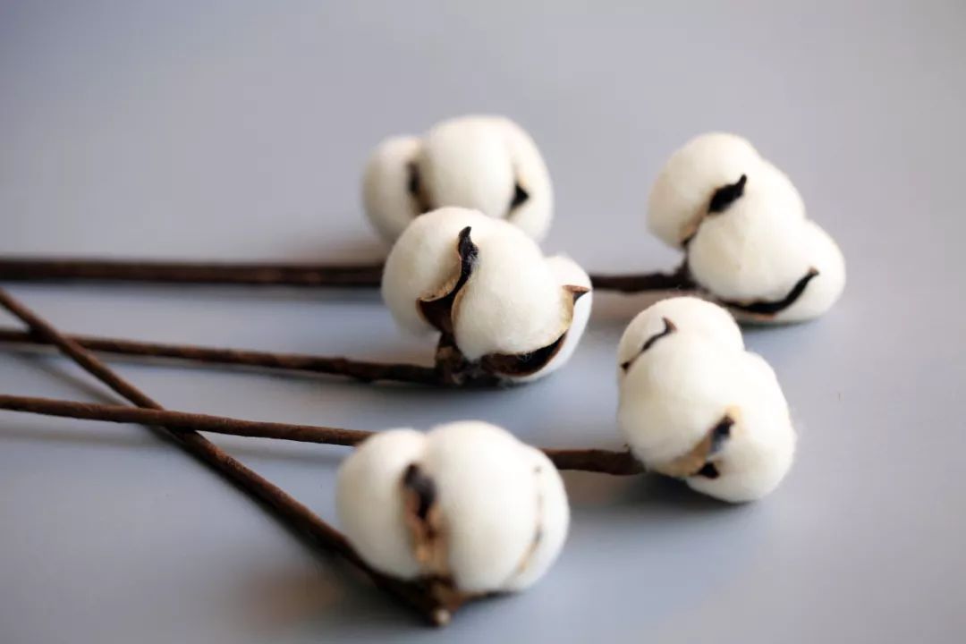 天气冷了什么面料又透气又暖和,穿上很凉爽的布料