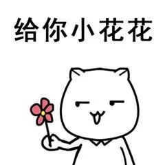 娄底中非足球友谊赛,娄底中非青少年足球赛