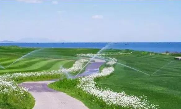 海洋夏令营,2017北戴河夏令营