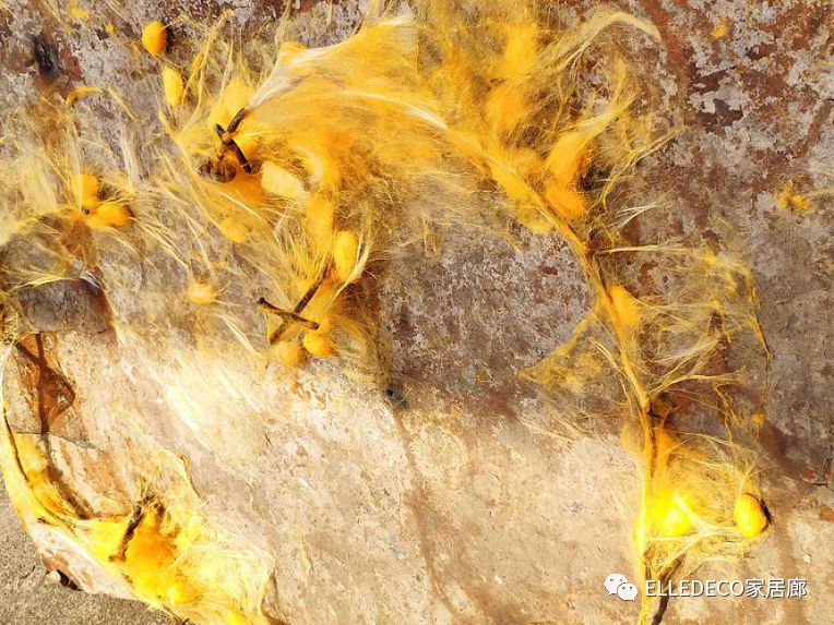 迪士尼做家具？在家也能星球大战了|DECO设计周报