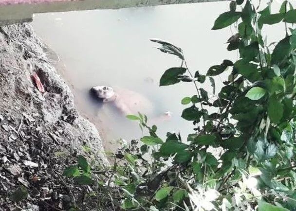 早新闻来了丨中考今日进行，考点附近有施工围挡？交警建议来了