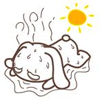 暴雨红色预警!河南接下来的半个月几乎全是雨!还有一个消息...