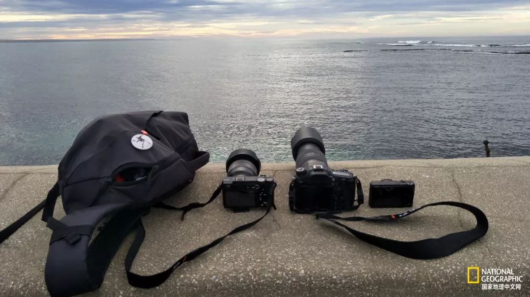 这10件事摄影新手一定要懂,对于热爱摄影的你来说最大的遗憾