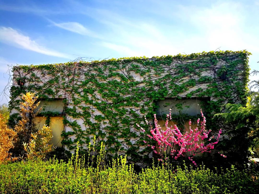 山东交通学院各专业介绍,山东交通职业学院泰山校区