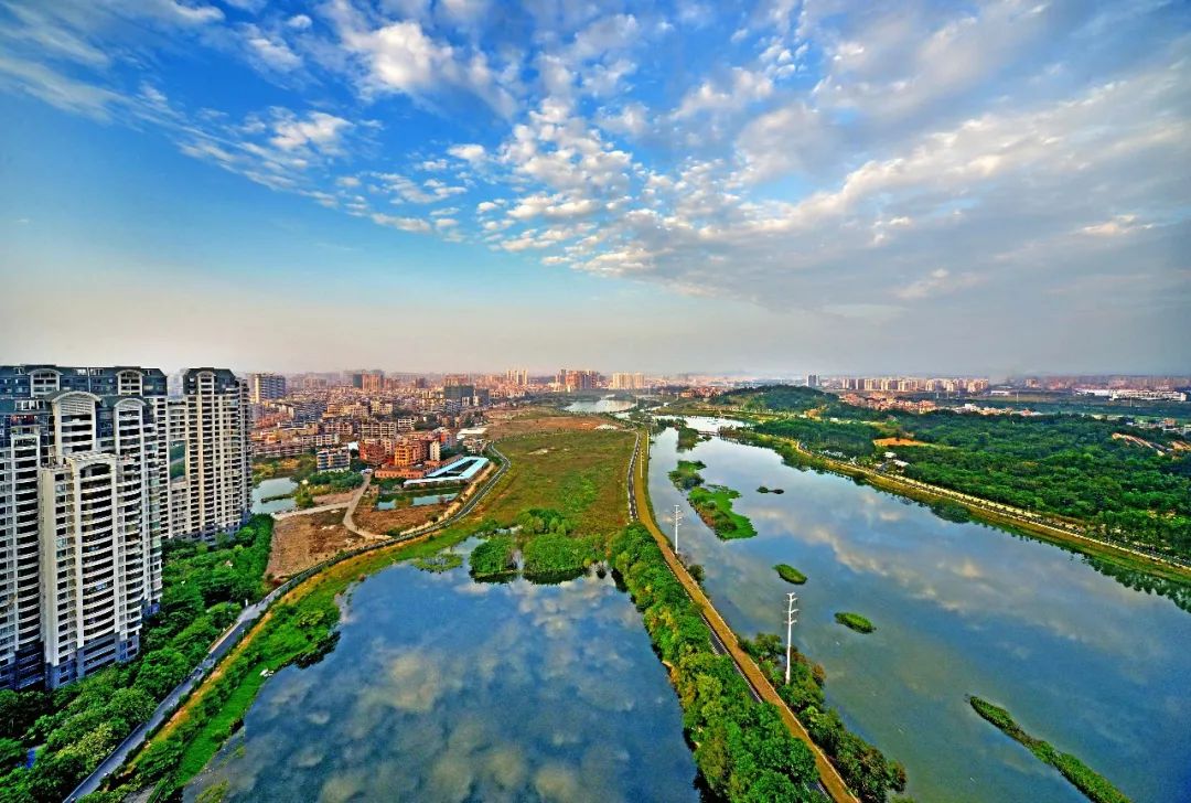 权威发布|这样的花都，太上头了！