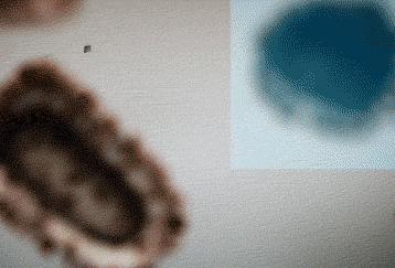 马桶冲水瞬间的细菌,马桶冲水细菌飞溅视频