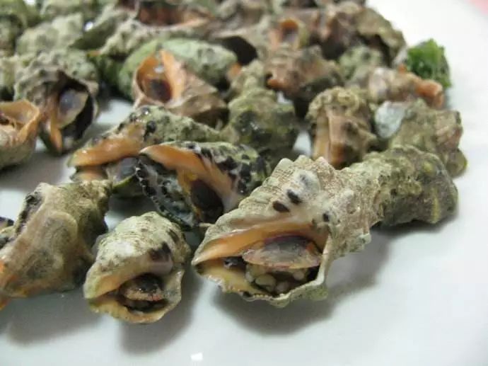 日照有什么好玩的地方,日照金山