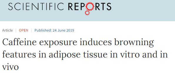 科学研究揭示喝咖啡减肥的秘密,咖啡有热量为什么能减肥