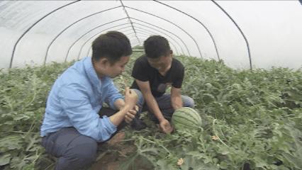 夏邑县美丽乡村介绍,美丽乡村之全景地图夏邑