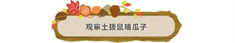 普通门票疯狂动物城,假期打卡疯狂动物城