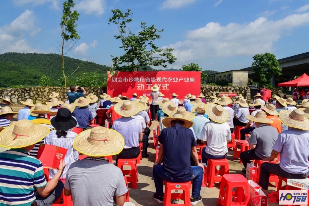 四会黄田柑橘种植生态园,四会市黄田镇最新规划