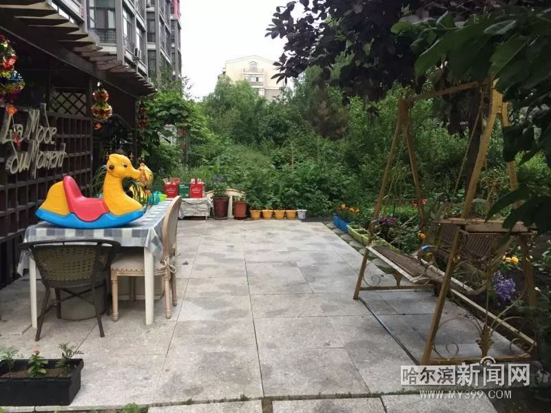 泰富长安城公共绿地被连片侵占丨举报36类”闹心事“#让陈年”烂账“见光死#