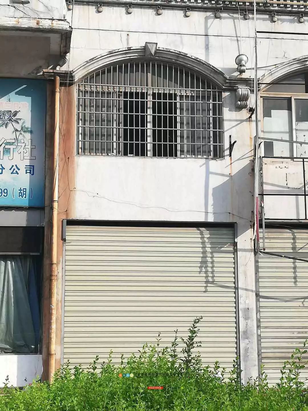 成都熊猫集市招商负责人,熊猫集市招租