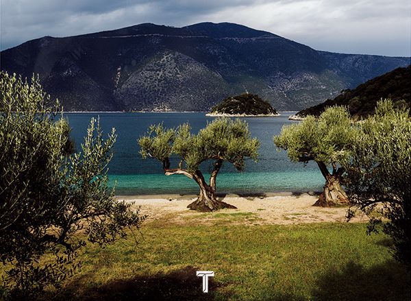 伊萨卡岛上摇曳的橄榄树林，带来了奥德修斯的声音，他没有死去