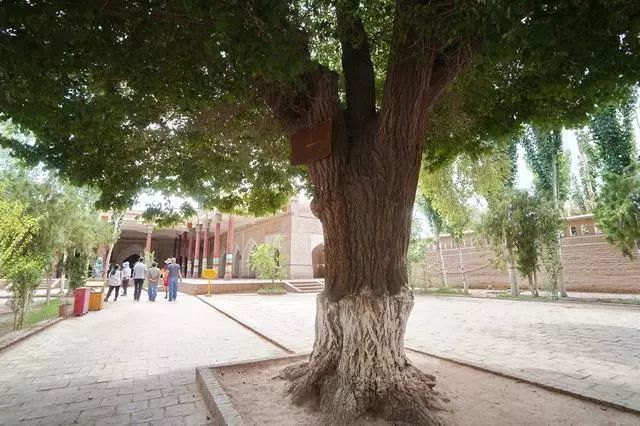 喀什旅游办理边防证,南疆自驾游需要边防证的地方