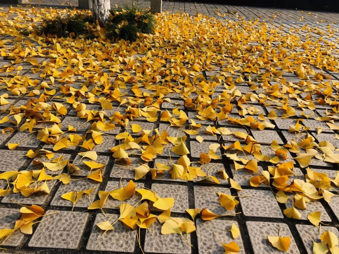 交大城院图片,交大城院在哪里