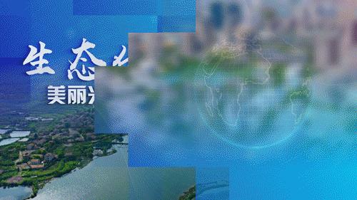 武汉金种子银种子上市公司名单,武汉市上市金种子企业意味着什么