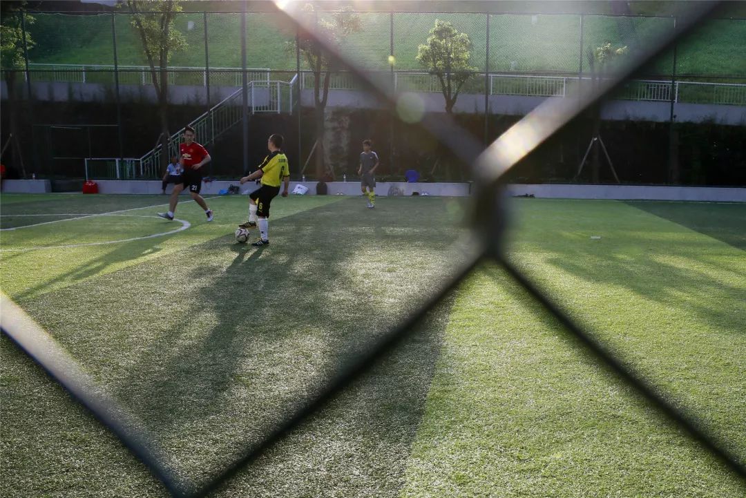 城南公园有什么游乐项目,城南公园有哪些好玩的项目